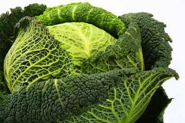 Similar image 166173