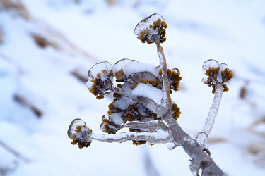 Similar image 166183