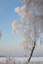 Similar image 166186