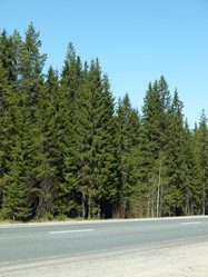 Similar image 166195