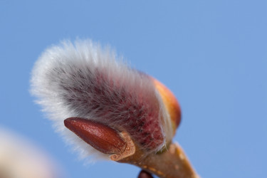 Similar image 166227