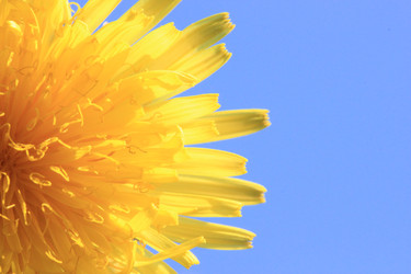 Similar image 166233