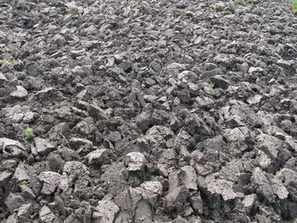 Similar image 166311