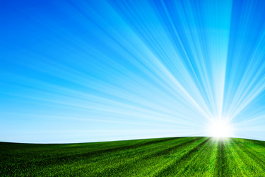 Similar image 166320