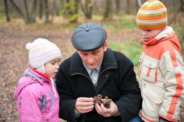 Similar image 166338