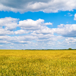 Similar image 166342