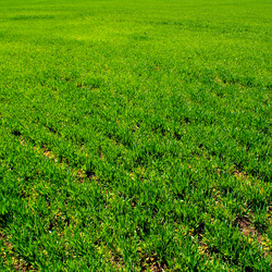 Similar image 166348