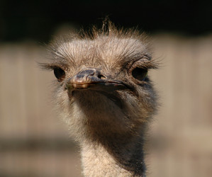 Similar image 166401