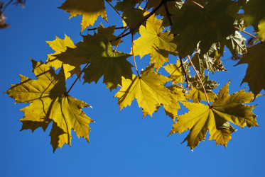 Similar image 166445