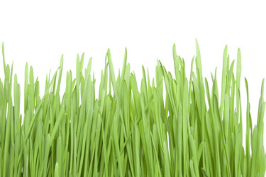 Similar image 166450