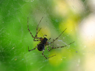 Similar image 166453