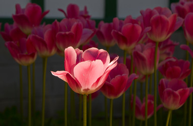 Similar image 166467