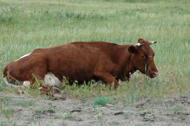 Similar image 166484