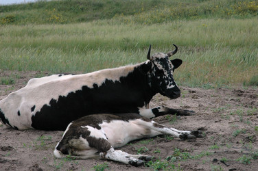 Similar image 166485