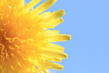 Similar image 166498