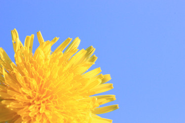 Similar image 166499