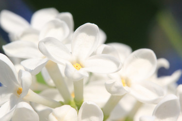 Similar image 166502