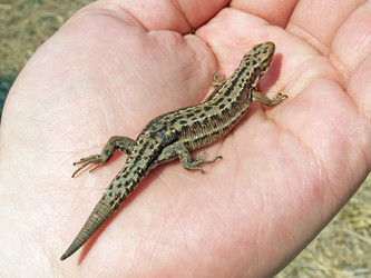 Similar image 166504