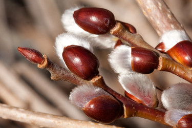 Similar image 166527