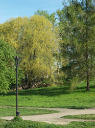 Similar image 166533