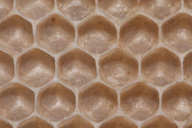 Similar image 166546