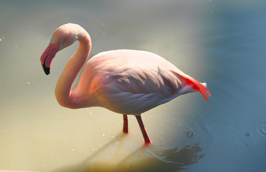 Similar image 166552