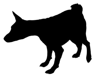 Similar image 166609