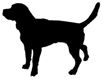 Similar image 166621