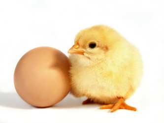 Similar image 166631