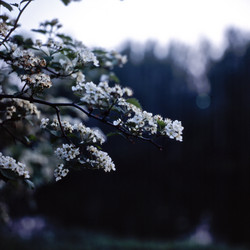 Similar image 166640