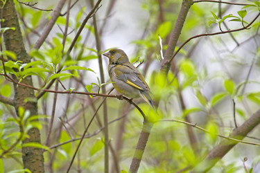 Similar image 166652