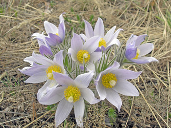 Similar image 166665