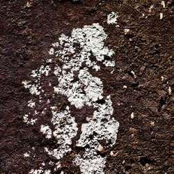 Similar image 166669