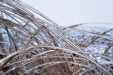 Similar image 166692