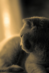 Similar image 166693