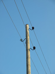 Similar image 166698