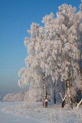 Similar image 166699