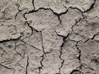 Similar image 166705