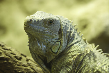 Similar image 166790