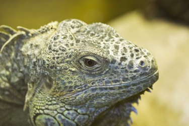 Similar image 166791