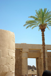 Similar image 166796