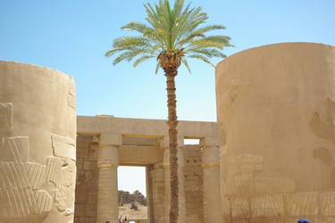 Similar image 166797