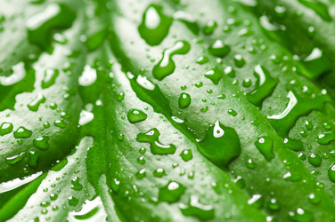 Similar image 166868