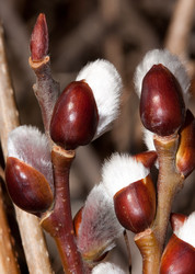 Similar image 166888