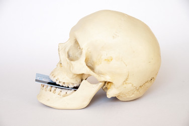 Similar image 166894