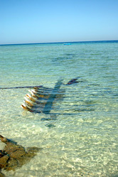 Similar image 166909