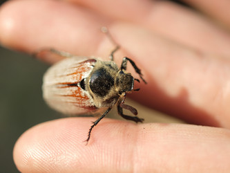 Similar image 166927