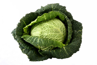 Similar image 166955