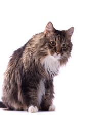 Similar image 166957