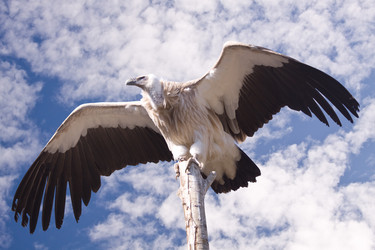 Similar image 166977